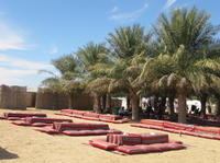 Bedouin Desert Camp Safari and Activities from Abu Dhabi Including Dune Bashing and BBQ Dinner