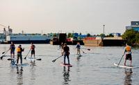 Victoria Harbour Stand-Up Paddleboard Tour