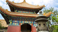 Beijing City Coach Tour: Hutongs, Beijing Zoo and Lama Temple