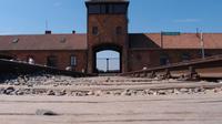 Visita al Museo de Auschwitz Birkenau y guía profesional desde Cracovia