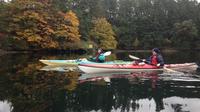 Brentwood Bay Guided Kayak Tours