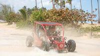 Aventura en buggy desde Punta Cana: el mejor viaje por el campo