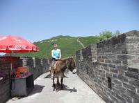 Mutianyu Great Wall and Summer Palace Private Day Trip including Lunch and Entrance fees