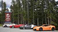 Sea to Sky Exotic Driving: Whistler Experience