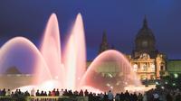 Guided Night Tour with The Magic Fountain by Bus in Barcelona