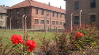 Visita al Museo Auschwitz-Birkenau desde Cracovia con un guía experto