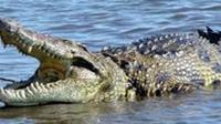 Lake Nasser Fishing Safari Trip with Lunch Included