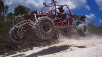 Aventura Dune Buggies desde Punta Cana 