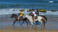 Cautivadora aventura a caballo en Punta Cana y Playa Macao