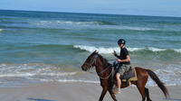 Gran aventura a caballo en Punta Cana y Playa Macao