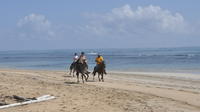 Magnífica aventura a caballo en Punta Cana y Playa Macao