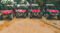 Aventura de medio día en buggy de dunas Polaris