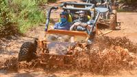 Dunas de Punta Cana: prueba la mejor excursión en buggy