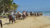 Paseos a caballo por la playa de Punta Cana