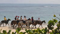 Gloriosa aventura a caballo en Punta Cana y Playa Macao