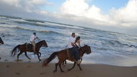 Incomparable aventura a caballo en Punta Cana y Playa Macao