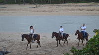 Excepcional aventura a caballo en Punta Cana y Playa Macao
