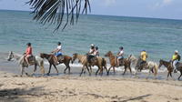 Maravillosa aventura a caballo en Punta Cana y Playa Macao