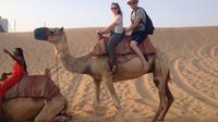 Abu Dhabi  Evening Desert Safari With Belly Dance BBQ Dinner Camel Ride Sand Boarding and Dune Bashi