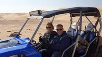 Dune Buggy Desert Adventure Tour from Abu Dhabi