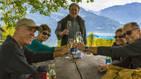 El mejor tour de degustación de vinos por el lago de Lucerna