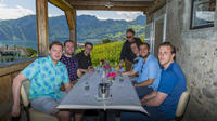 Tour de cata de vinos por el lago de Lucerna en una gran bodega