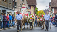 Desfile de vacas en los Alpes suizos: lo mejor de la cultura suiza