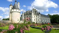 Loire Valley Castles Private Day Trip from Paris