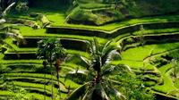 Bali Full-Day Traditional Village Sightseeing Trip with Lunch