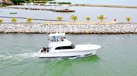 Excursión de pesca deportiva en Punta Cana: la mayor captura