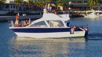 Crucero privado en catamarán en Punta Cana: gran navegación