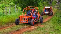 Flintstones Buggy Adventure individual en Punta Cana. Salga de la carretera en su propio buggy con tema de Flinstones durante esta aventura de 4.5 horas desde Punta Cana. Dirigido por un guía de aventuras local, siga un camino fuera del camino hacia el campo, deteniéndose en un mercado típico dominicano para probar el café local y el cacao.