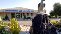 Falcon Hospital Tour Abu Dhabi