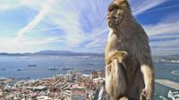 La mejor escapada a Gibraltar desde Sevilla durante un día completo