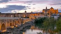 El mejor recorrido de Córdoba desde Sevilla con un guía experto