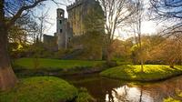 Tour de 3 días por el Castillo de Blarney, Kilkenny y whisky irlandés