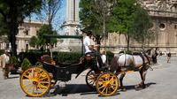 Paseo en coche de caballos y visita a pie por Sevilla con guía experto