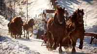 Paseo en trineo de caballos por la campiña polaca desde Cracovia