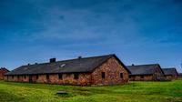 Auschwitz-Birkenau, mina de sal de Wieliczka y 29 atracciones Cracovia