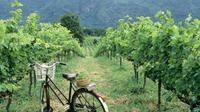 2-Day Tour Cycling Khao Yai Wine Trails from Bangkok