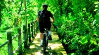 Jungle Cycling Tour from Bangkok