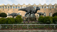 Small Group Tour to Fernbank Museum of Natural History