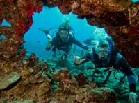 Maui Certified Scuba Diving Tour