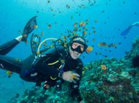 Maui Scuba Diving Introductory Lesson