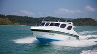 Krabi to Koh Phi Phi VIP Speed Boat Transfer with Hotel or Airport Pickup Private Car Transfers