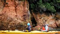 Akaroa Shore Excursion: Small-Group Wildlife and Sea-Kayaking Safari in Akaroa