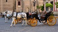 Paseo turístico en coche de caballos por Sevilla con un guía experto