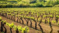 Private Cava Experience Penedes Tour From Barcelona