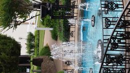 Photo of Beautiful grounds. Just one of many beautiful photos of the grounds of Graceland. Highly recommend the VIP tour. Well worth the extra money, no lines and audio and i-pad provided. , Sandie B - May 2015