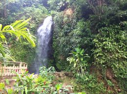 Photo of IMG_1610 The waterfall, right before we jumped in. Everyone had the option to visit the waterfall or take a mud bath. , Ryan P - September 2012